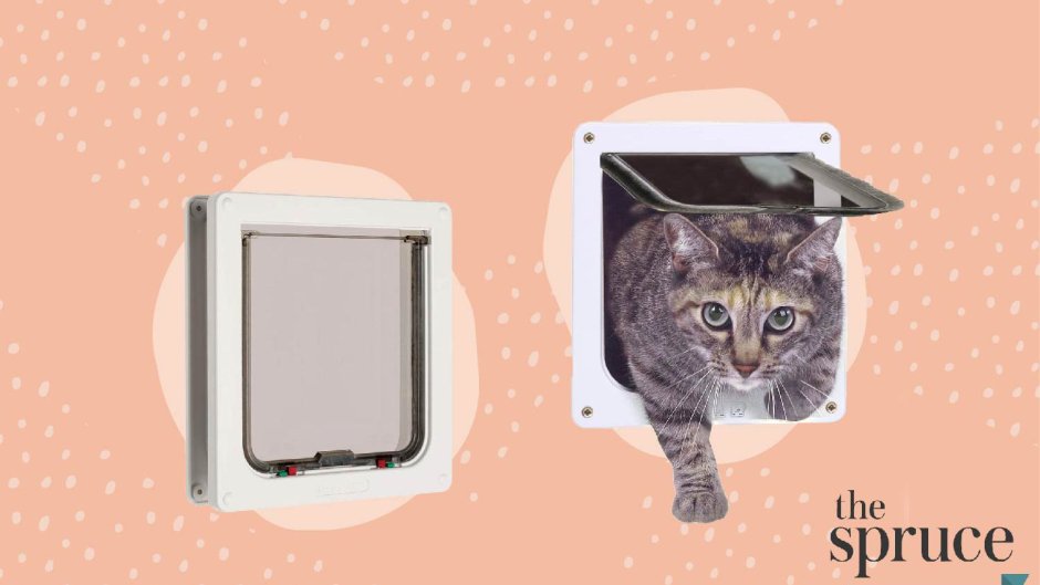 Microchip for Cat instruction