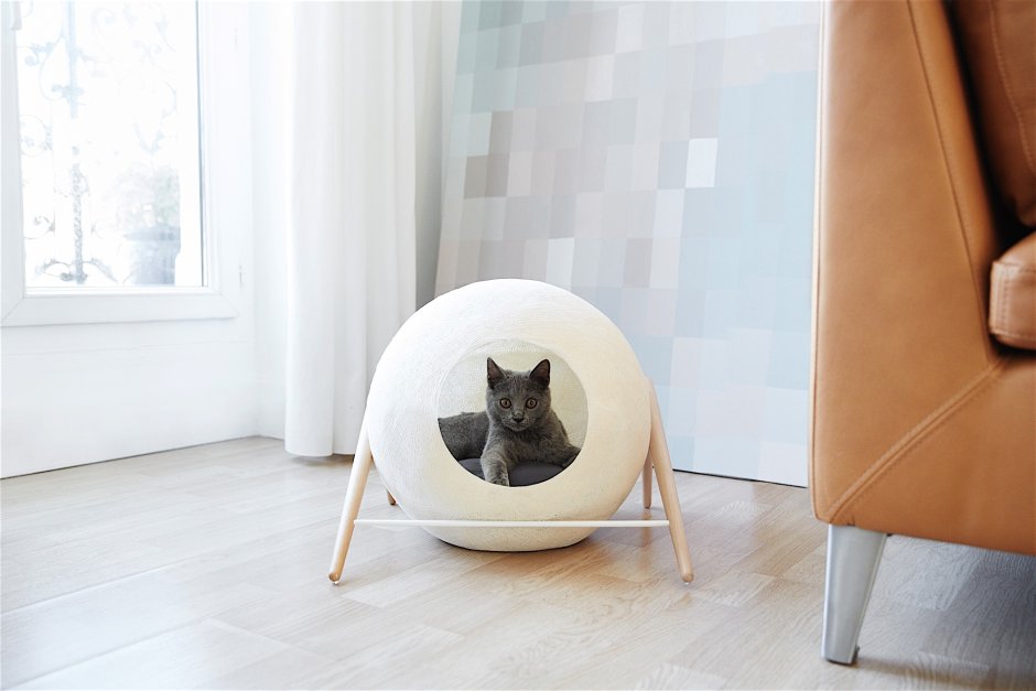 Мебель для кошек