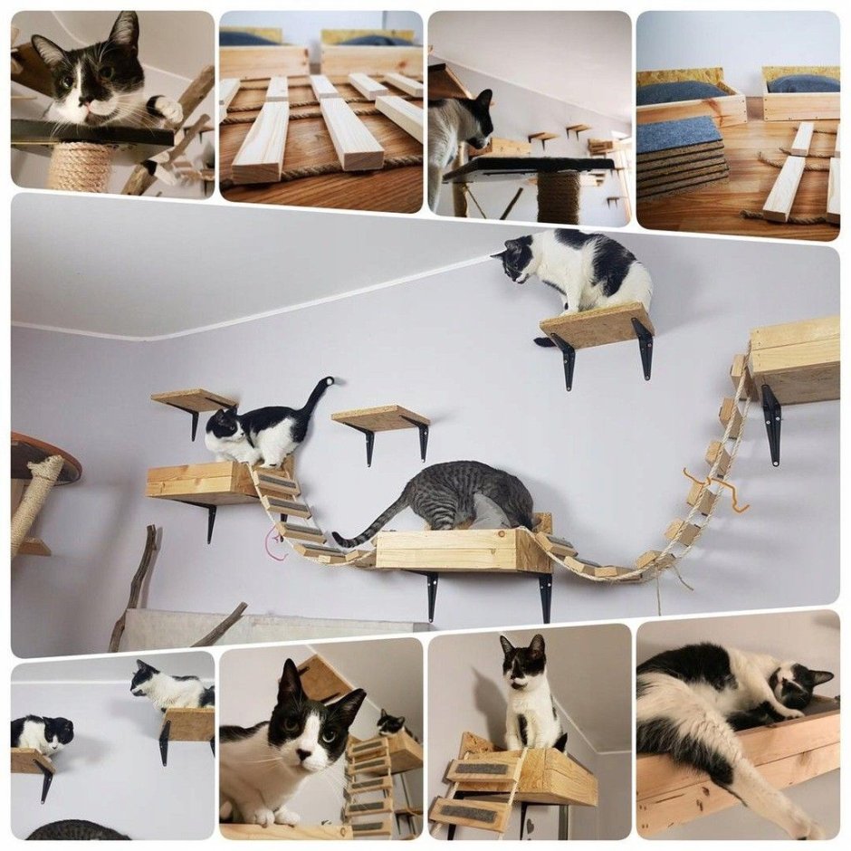 Кошачья мебель