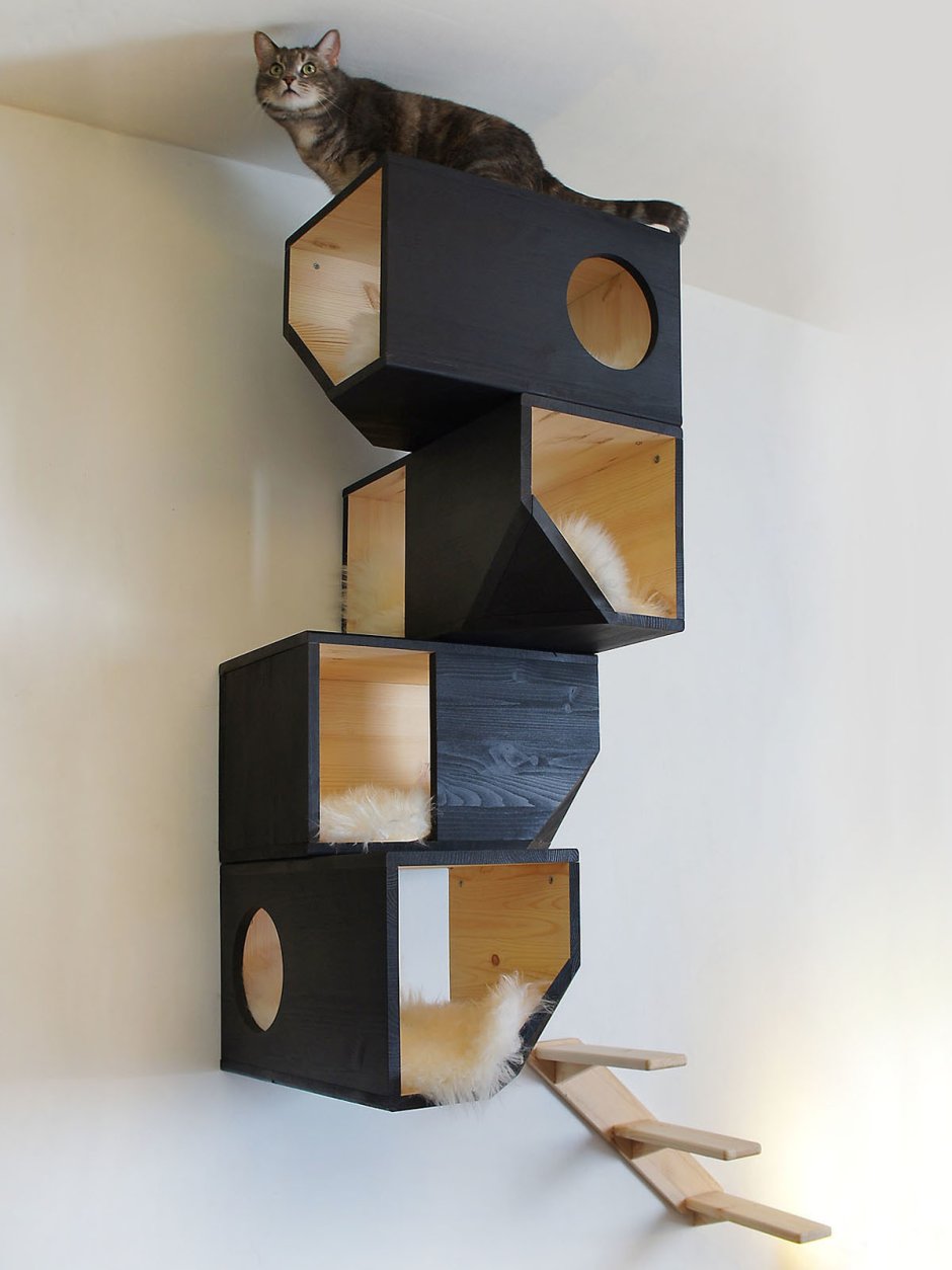 Cat Studio мебель для кошек