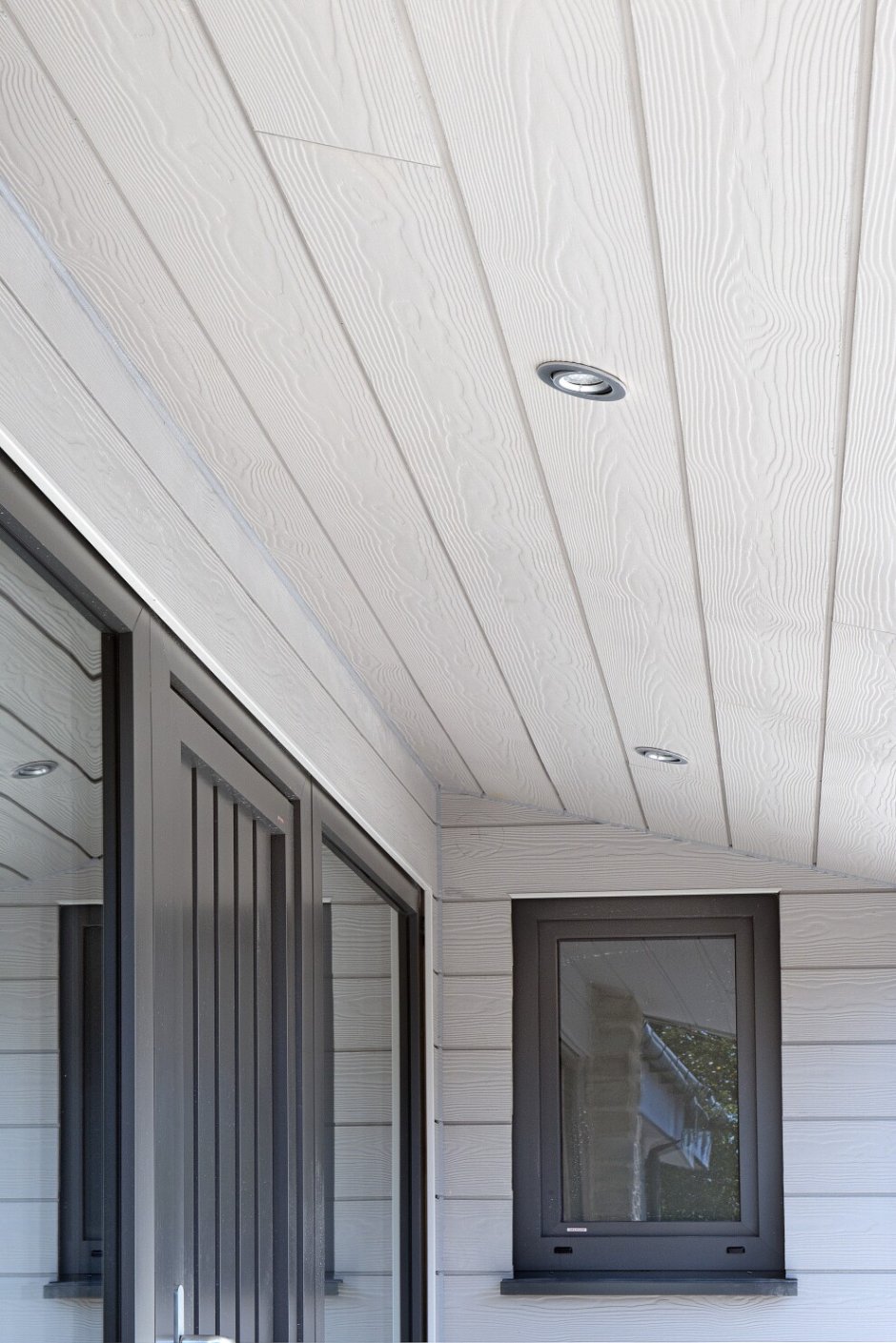 Cedral click Wood c01