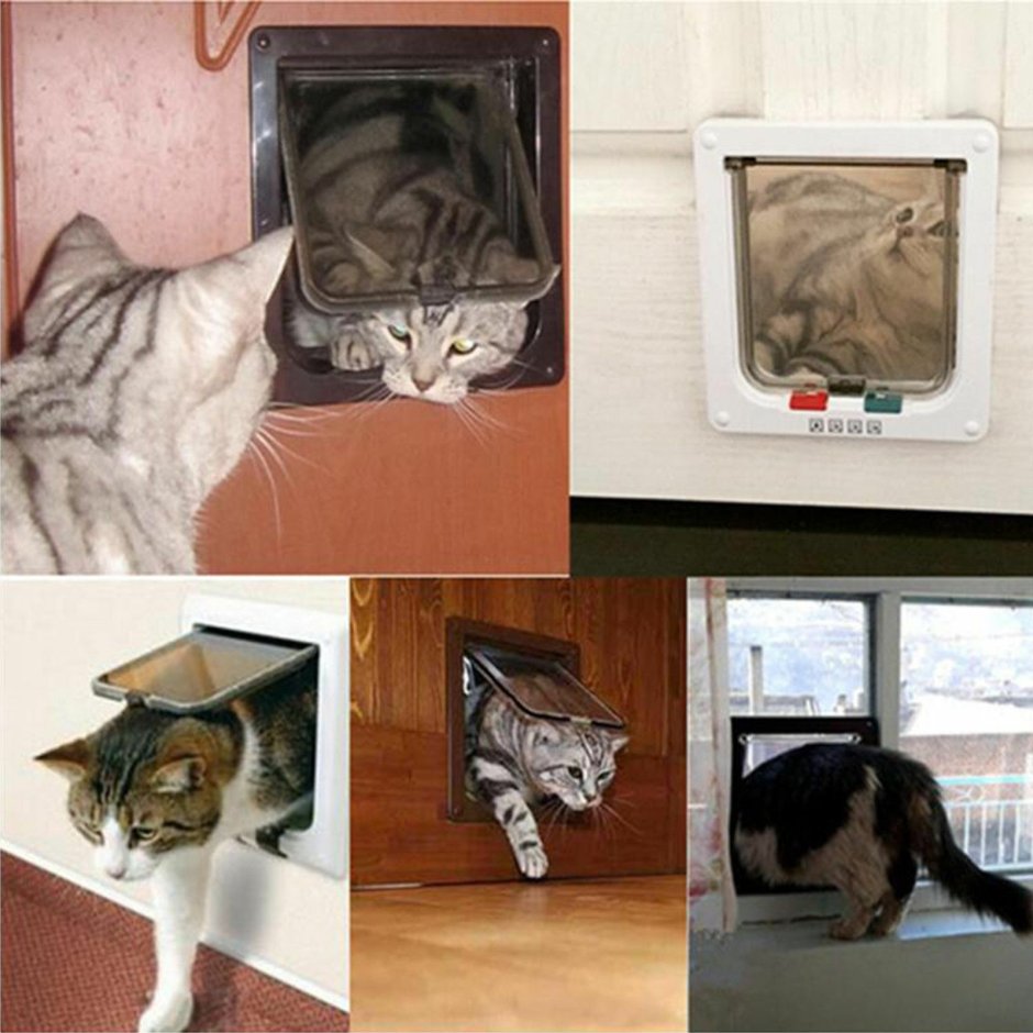 Туалетная дверца для кота