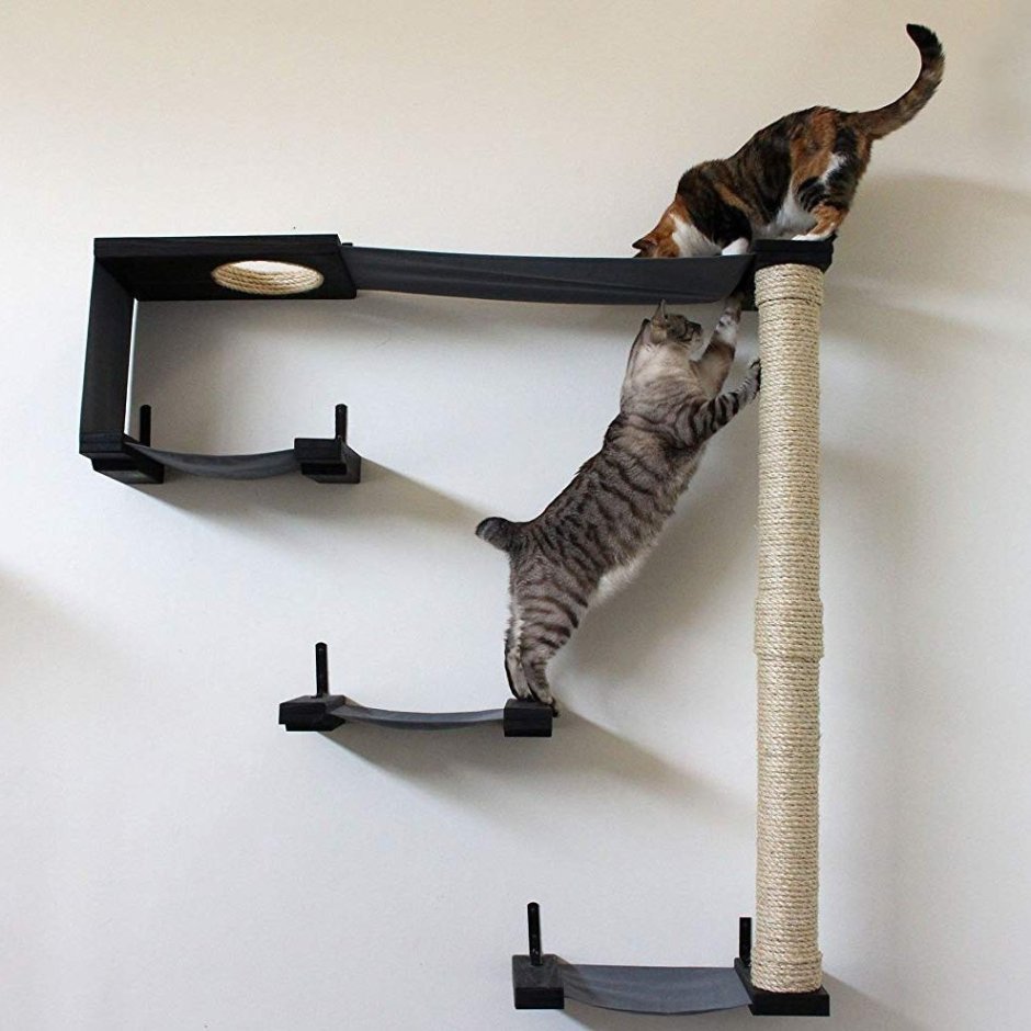 Гамак для кошки на стену