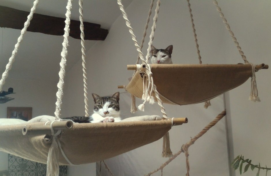 Подвесной гамак для кошек