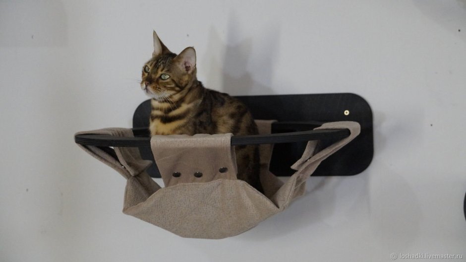 Подвесной гамак для кота