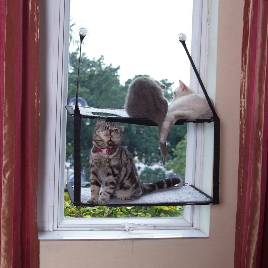 Окно для кошки в окне