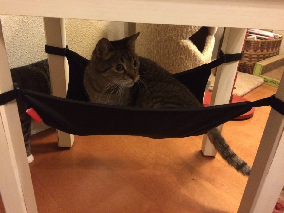Гамак для кота на стену