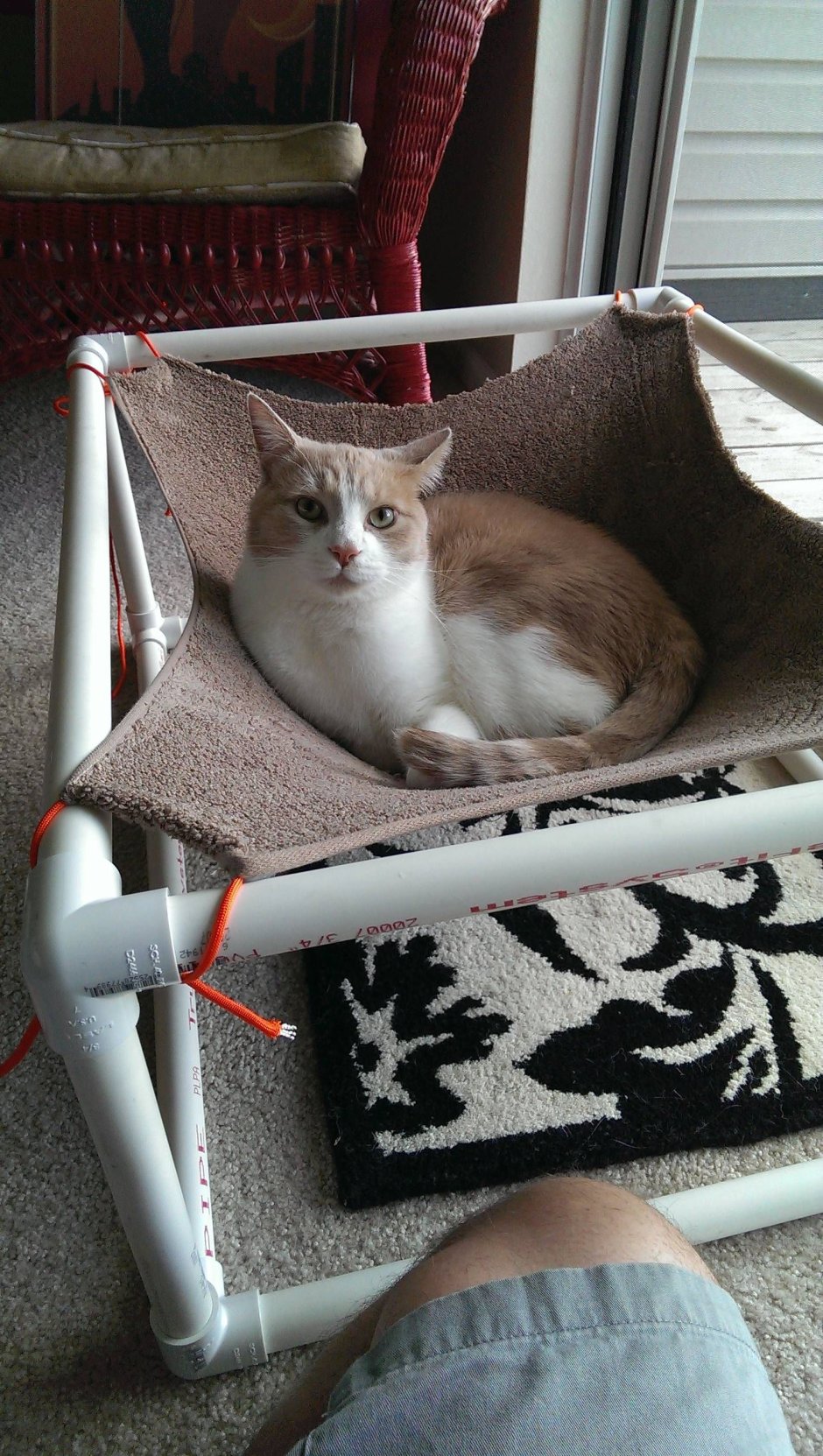 Гамак для кошек