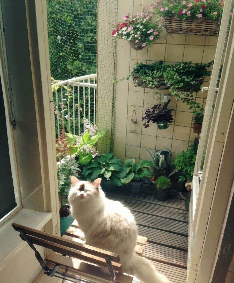Дом для кошки