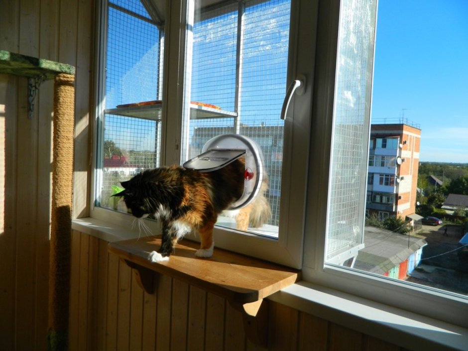Лоджия для кошек