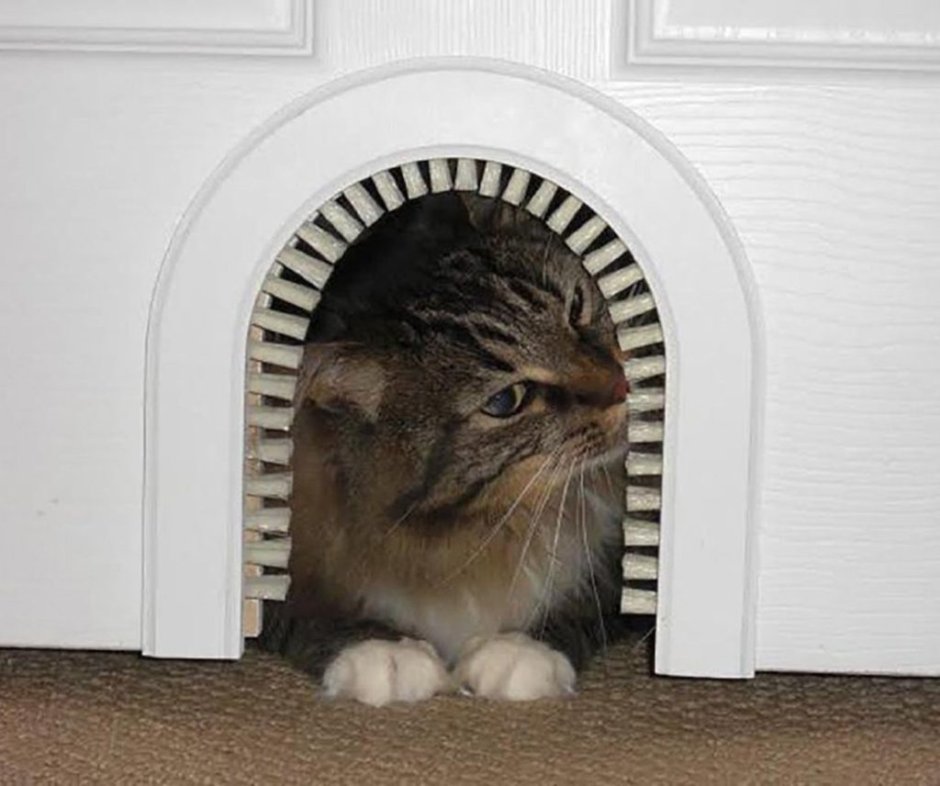 ЛАЗ для кошки в двери