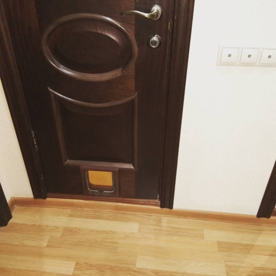 Кошачья дверка для межкомнатной двери