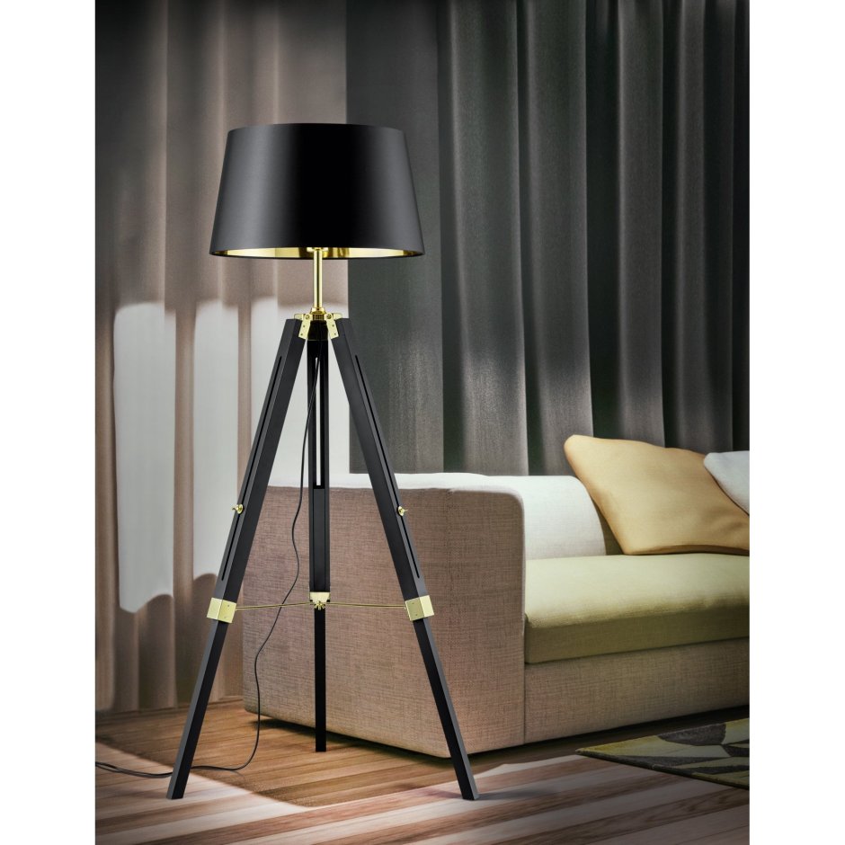Торшеры Trio Black Floor Lamp