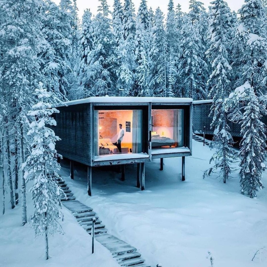 Arctic Treehouse Hotel Финляндия