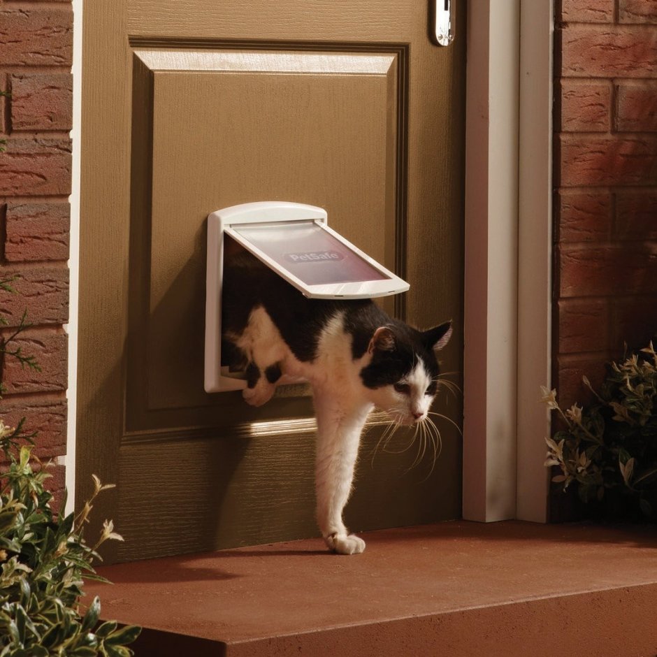 Petsafe дверца для кошек