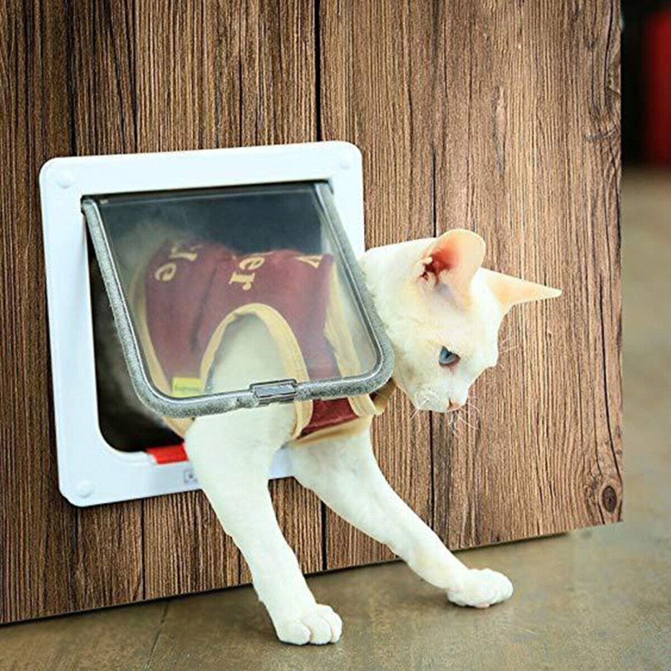 Дверка для кота