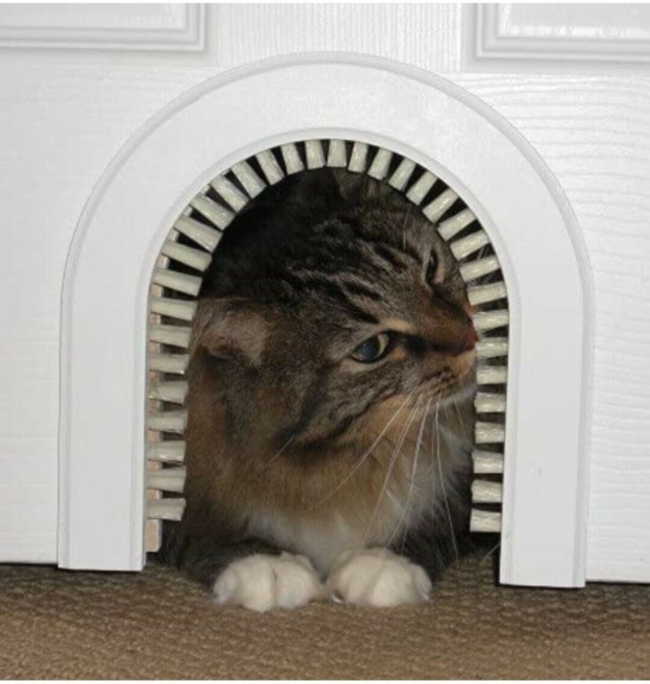 ЛАЗ для кошки в двери