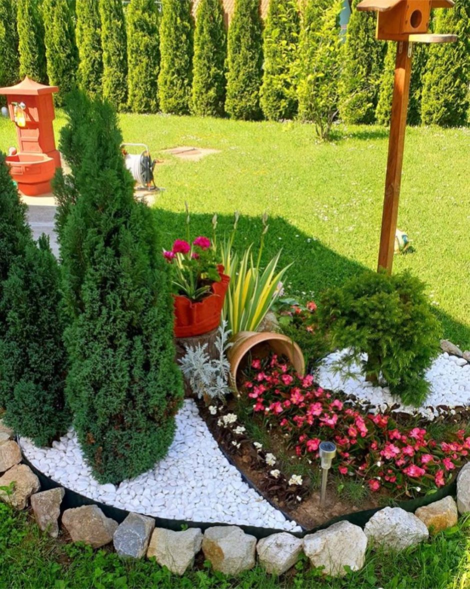 Красивая клумба из каменной розы
