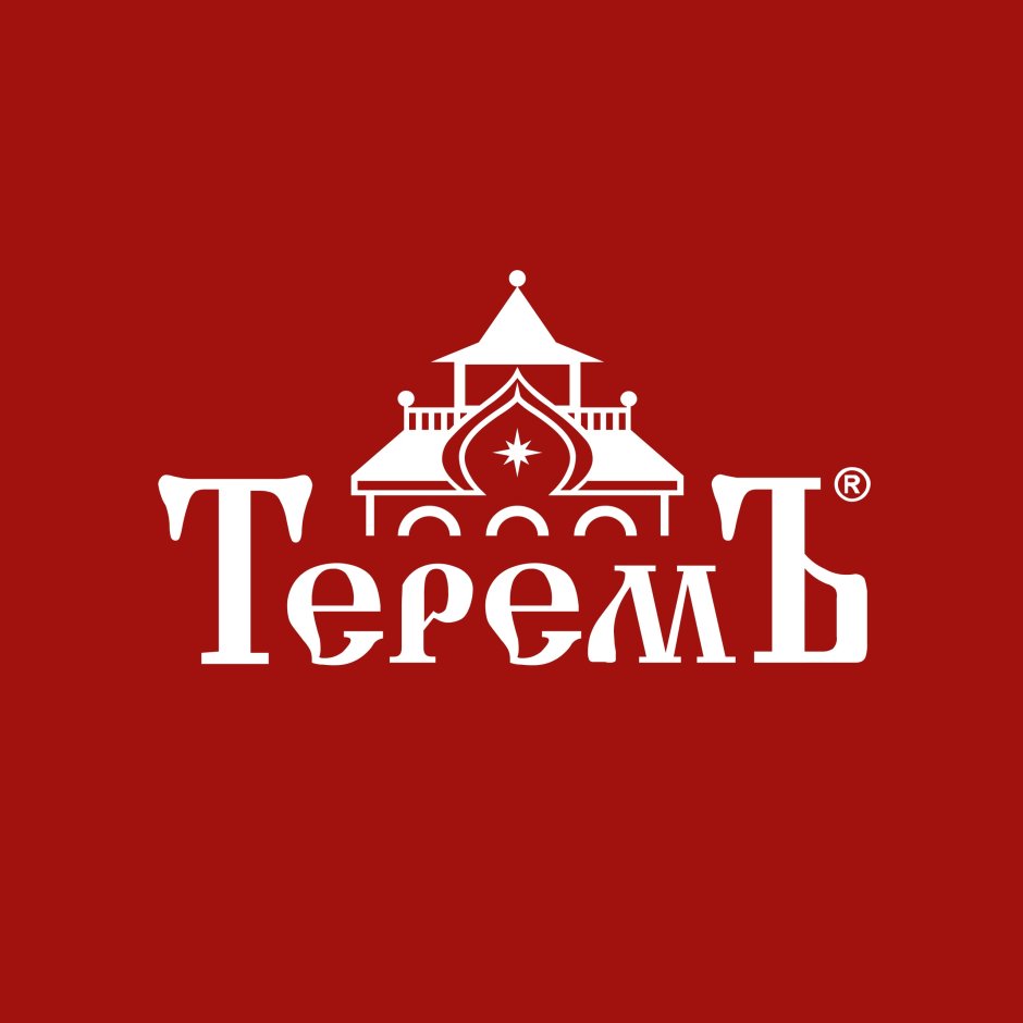 Компания Терем логотип