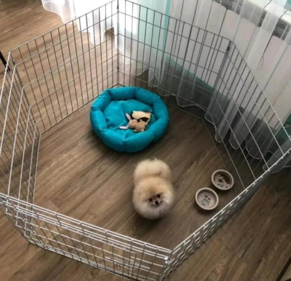 Клетка для шпица