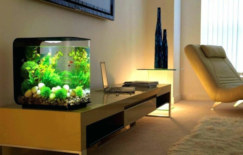 Аквариум BIORB Flow 30 led