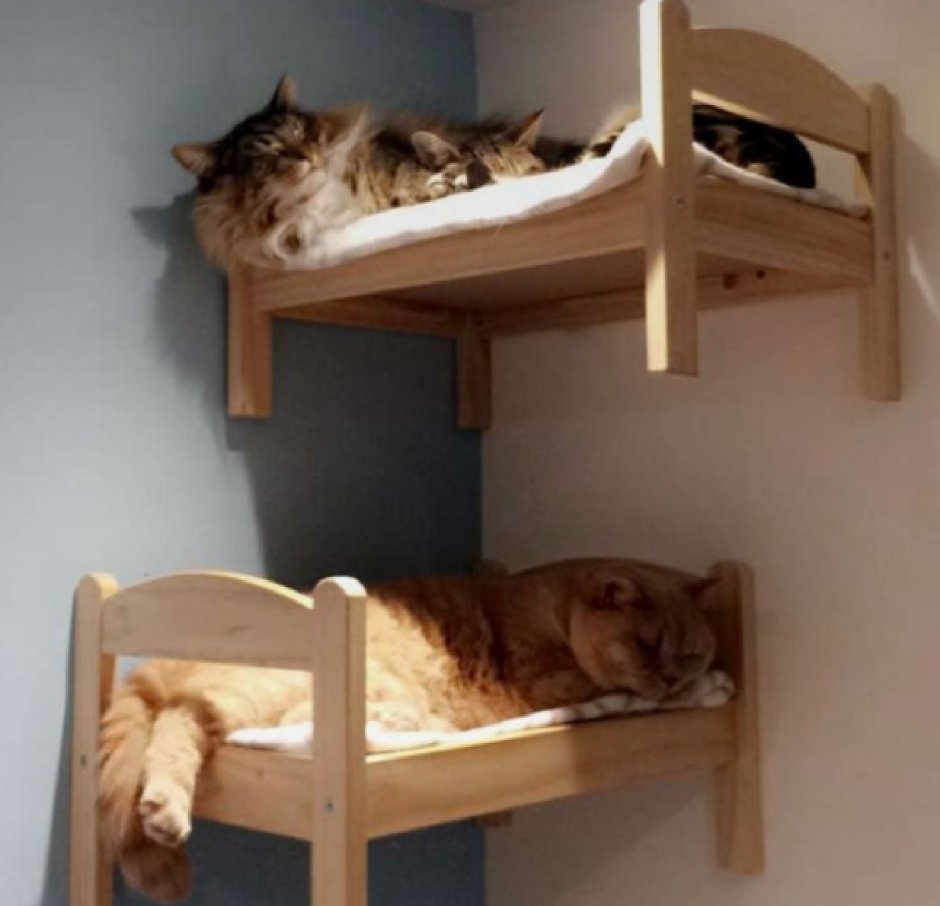 Кошка в кровати ikea