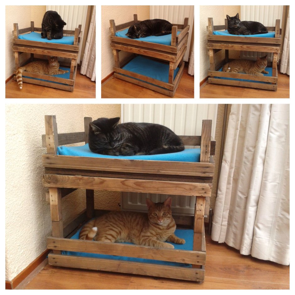 Двухэтажная лежанка для кошек