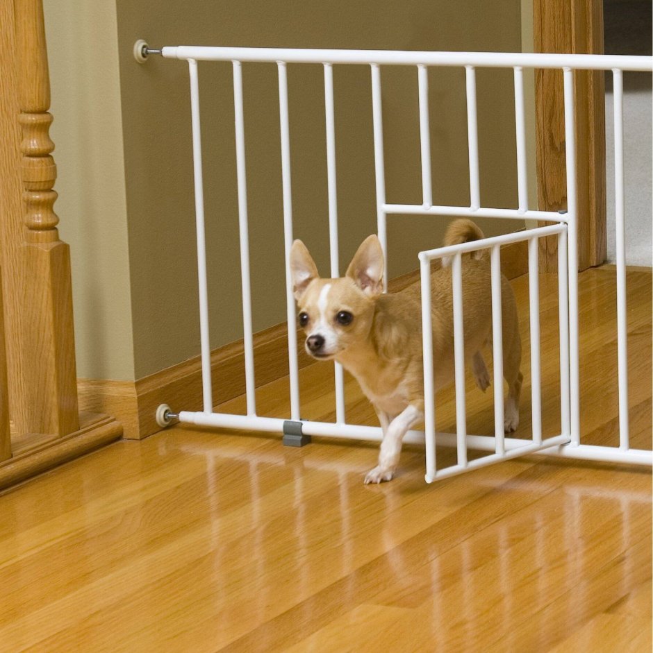 Carlson 0680pw Mini Gate with Pet Door