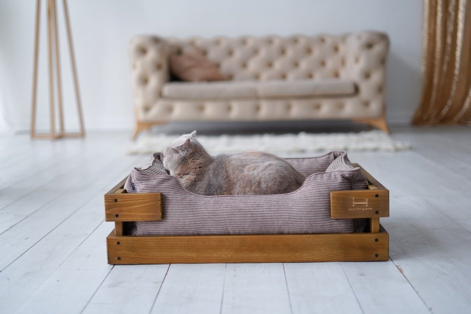 Деревянная кроватка для кота