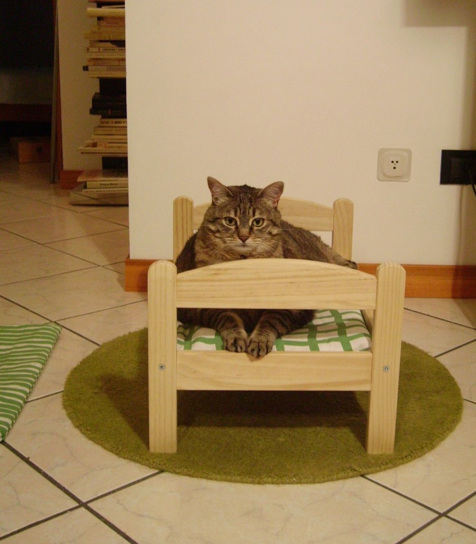 Деревянная кровать для кота