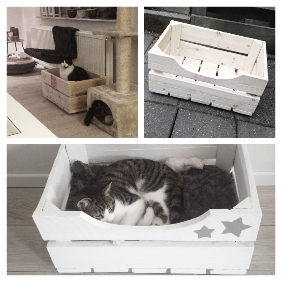 Кровать из ящика для кота
