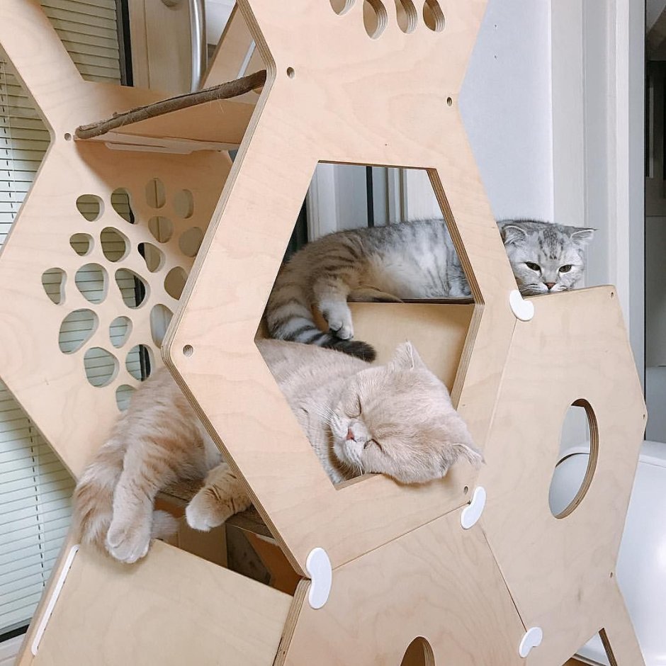 Домик для кошки из фанеры