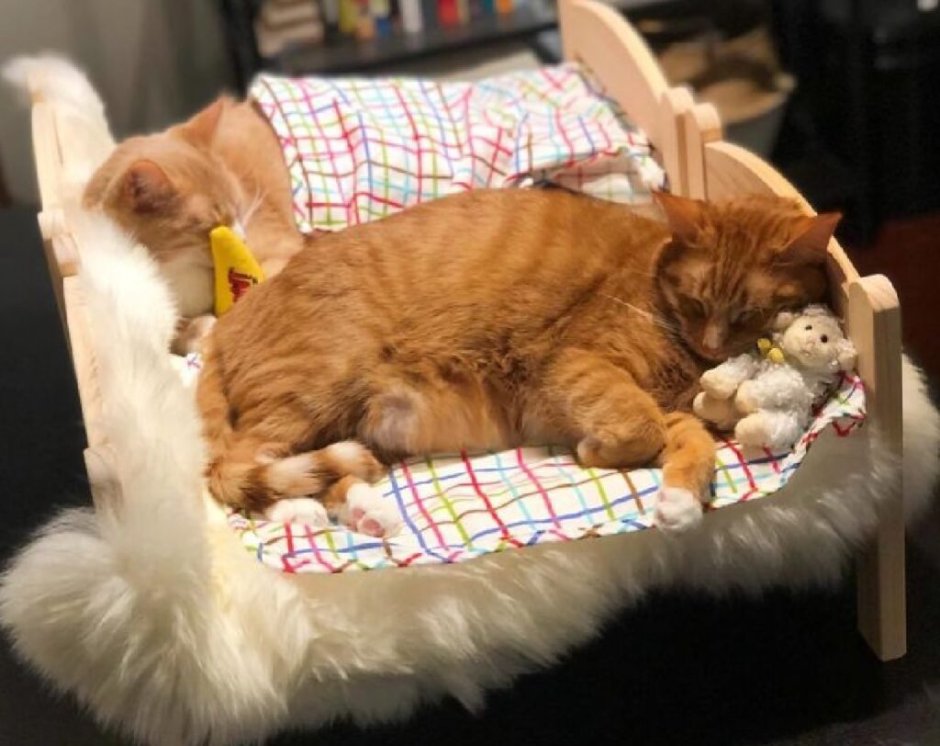 Икеа ДУКТИГ кровать для кошек