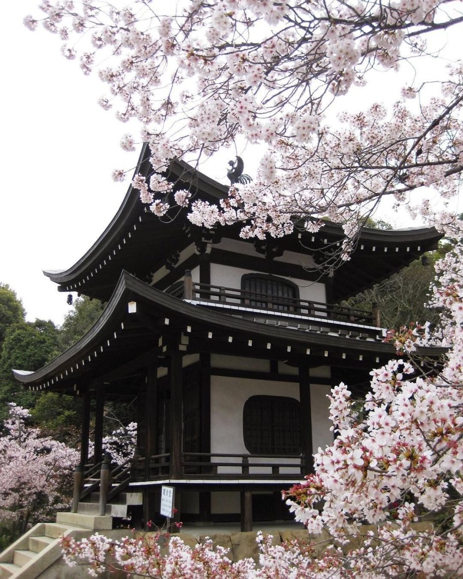 Храм Тэнрюдзи Япония