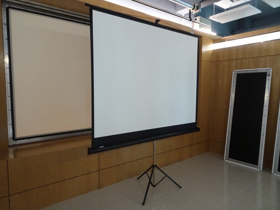 Luma Projection Screen экран для проектора ym848221