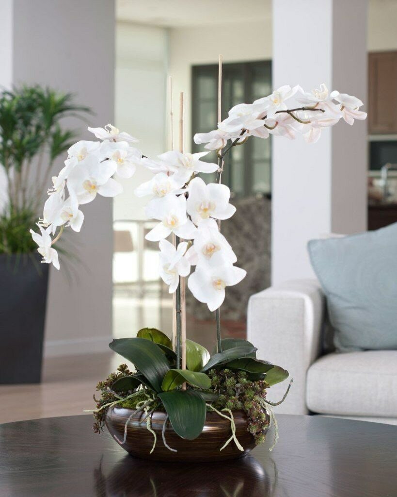 Обои орхидея для стен в интерьере кухни. Фотообои с орхидеями. Дизайн квартиры и орхидея
