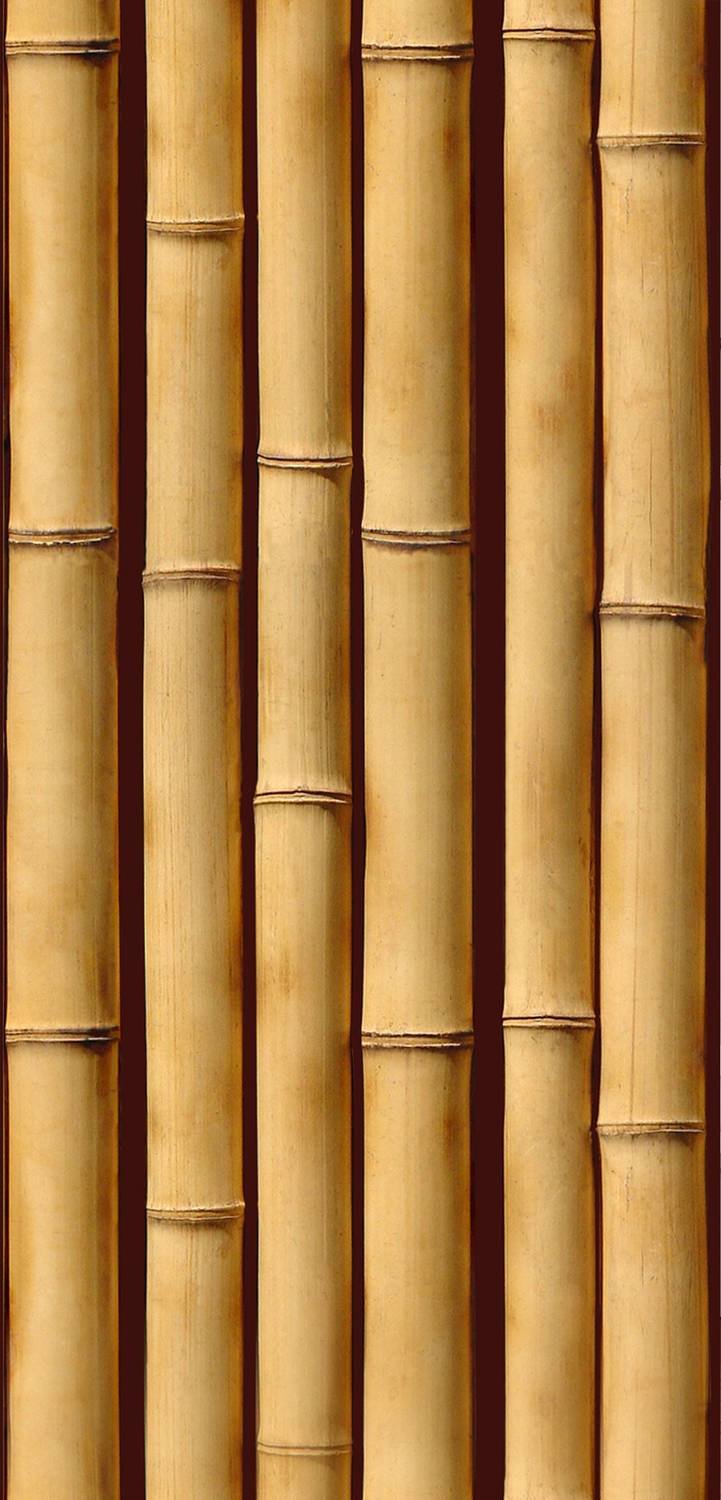 Бамбуковые стены купить. Панель ПВХ термопереводная бамбук. Бамбуковые панели. Бамбуковые панели для стен. Панель бамбуковая стеновая.
