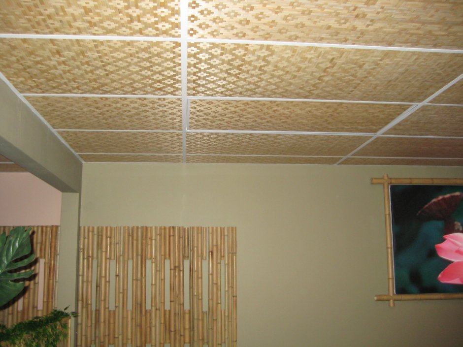 Отделочные панели для потолка