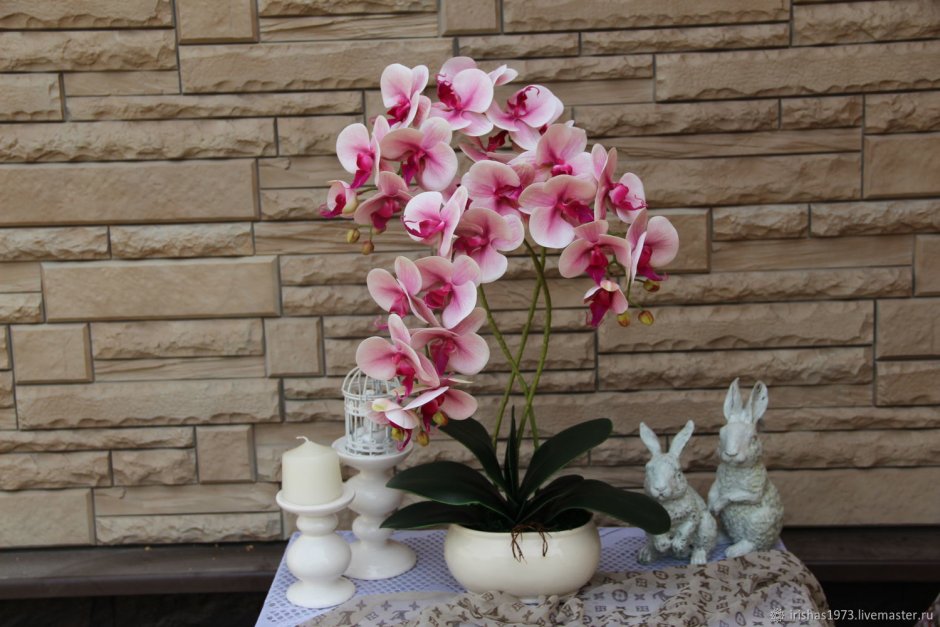 Орхидеи в интерьере квартиры фото