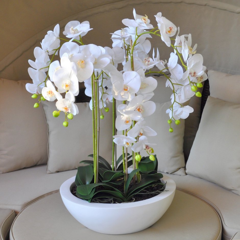 Искусственные орхидеи в кашпо