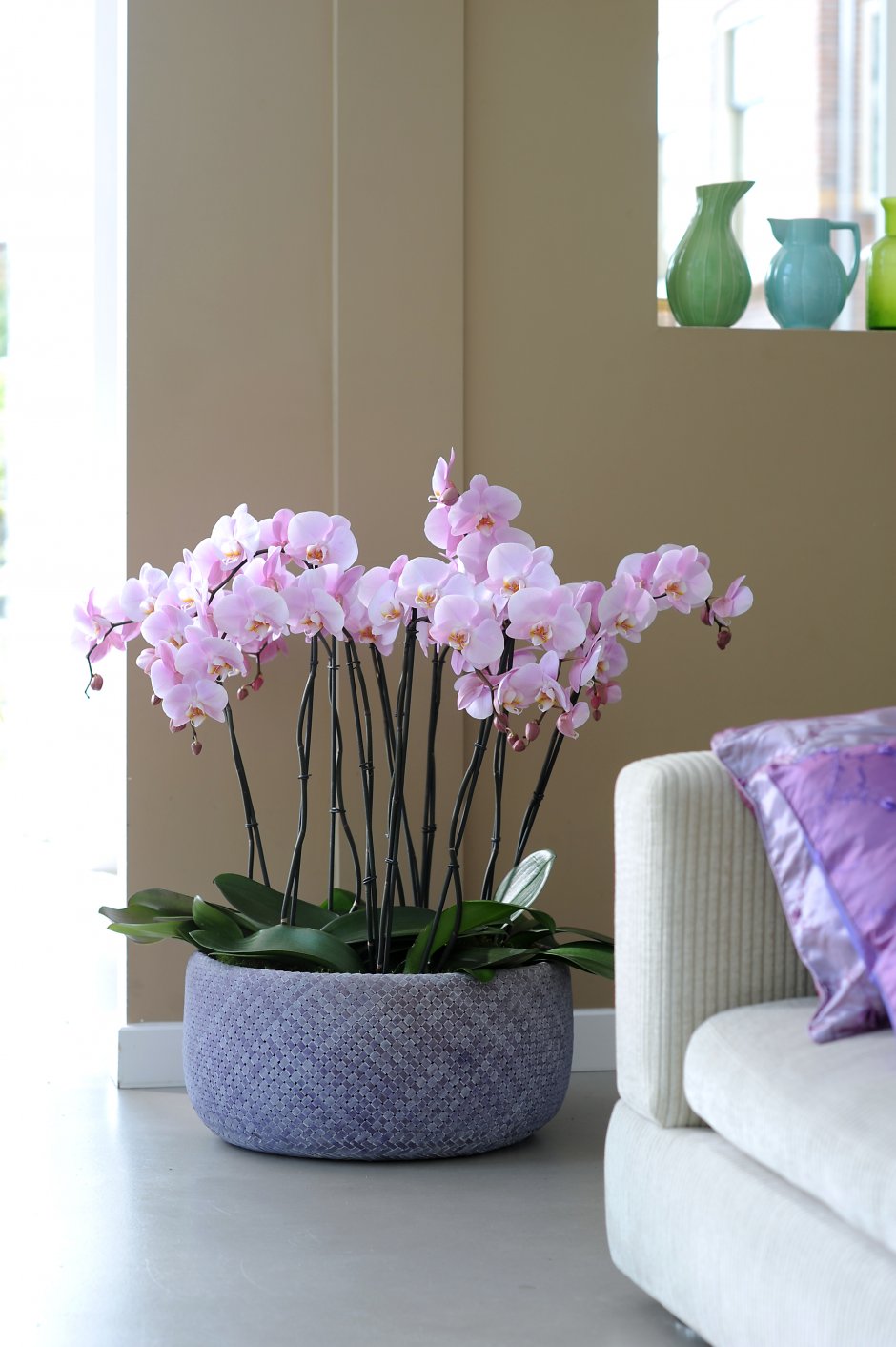 Искусственная Орхидея в интерьере жилого