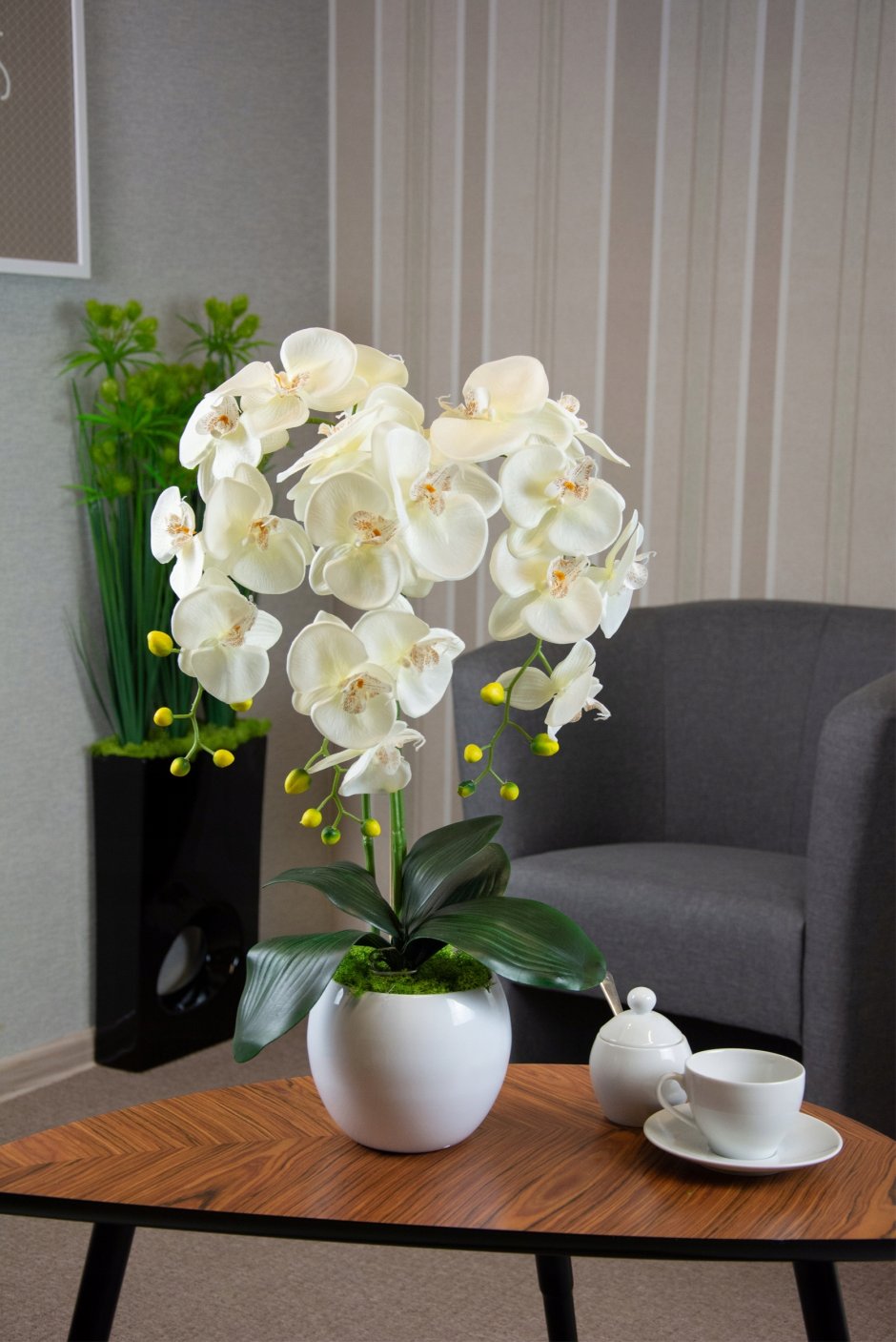 Крупная Орхидея фаленопсис белая
