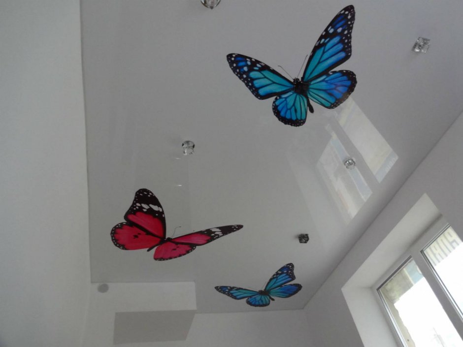 Бабочки на потолке