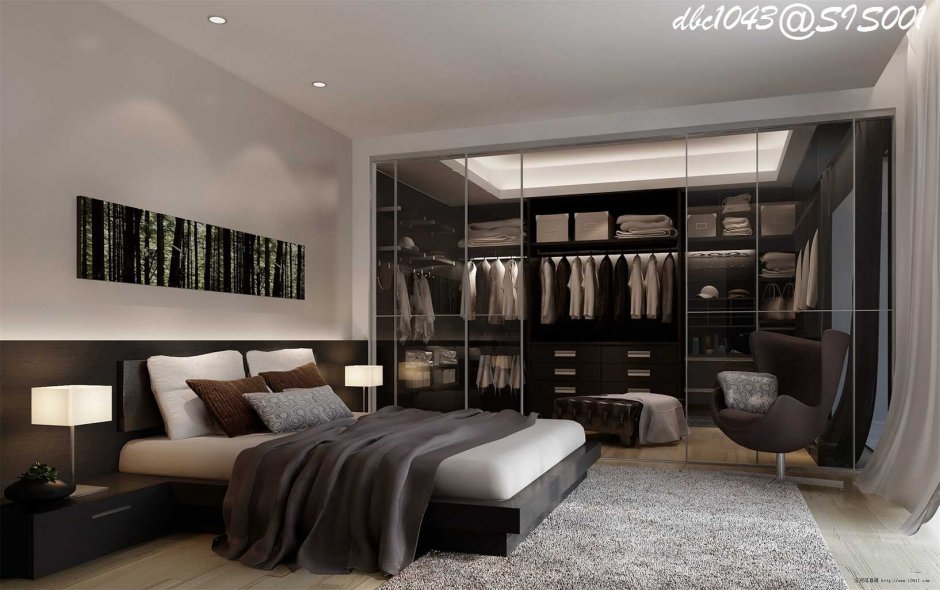 Спальня с гардеробной комнатной