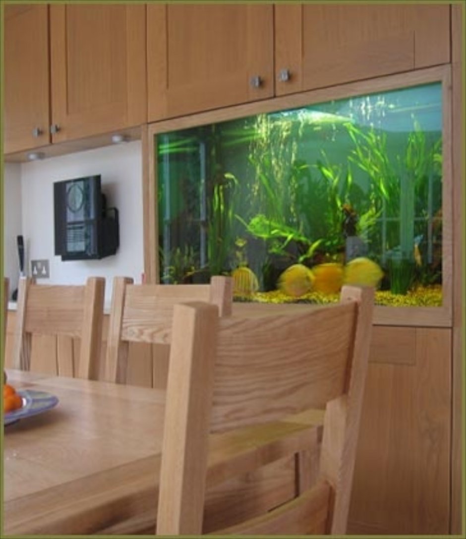 Встроенный аквариум на кухне