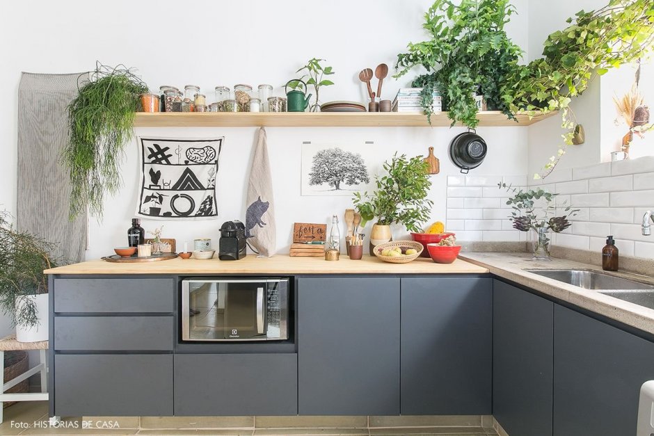 Комнатные растения на кухонном гарнитуре