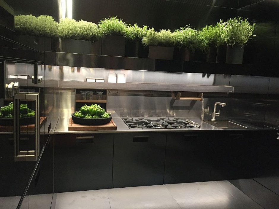 Стильная кухня интерьер с растениями