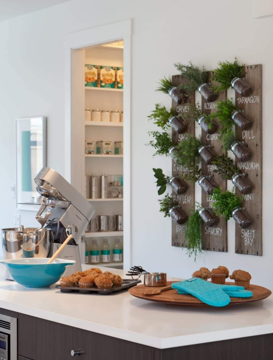 Дизайн кухонь с растениями (60 фото)