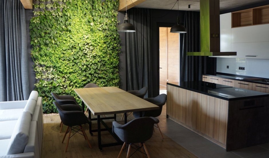 Стена из зелени на кухне