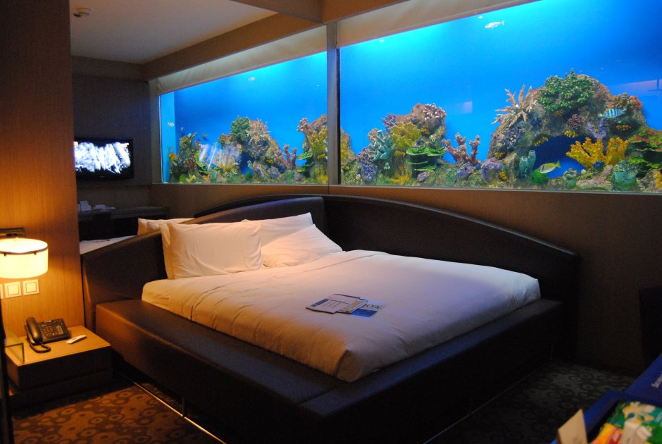 Спальная комната с аквариумом